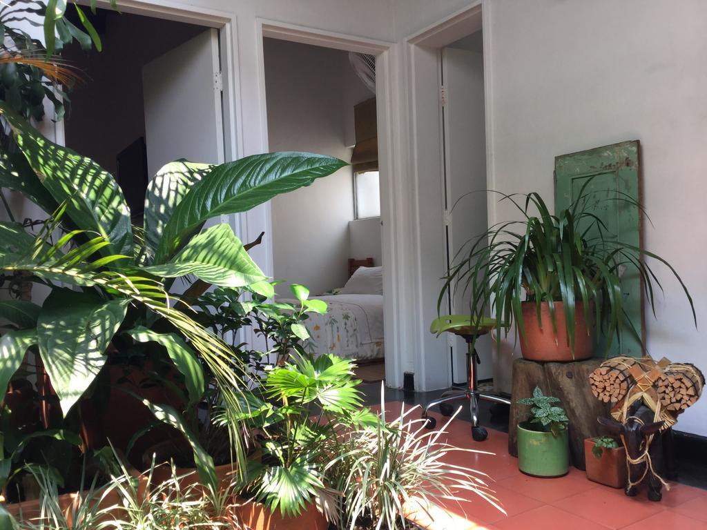 Saman Hostel Medellin Ngoại thất bức ảnh