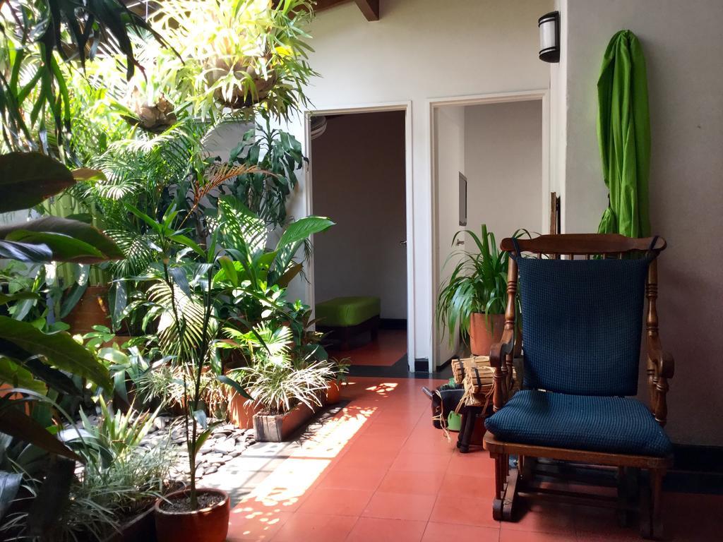 Saman Hostel Medellin Ngoại thất bức ảnh