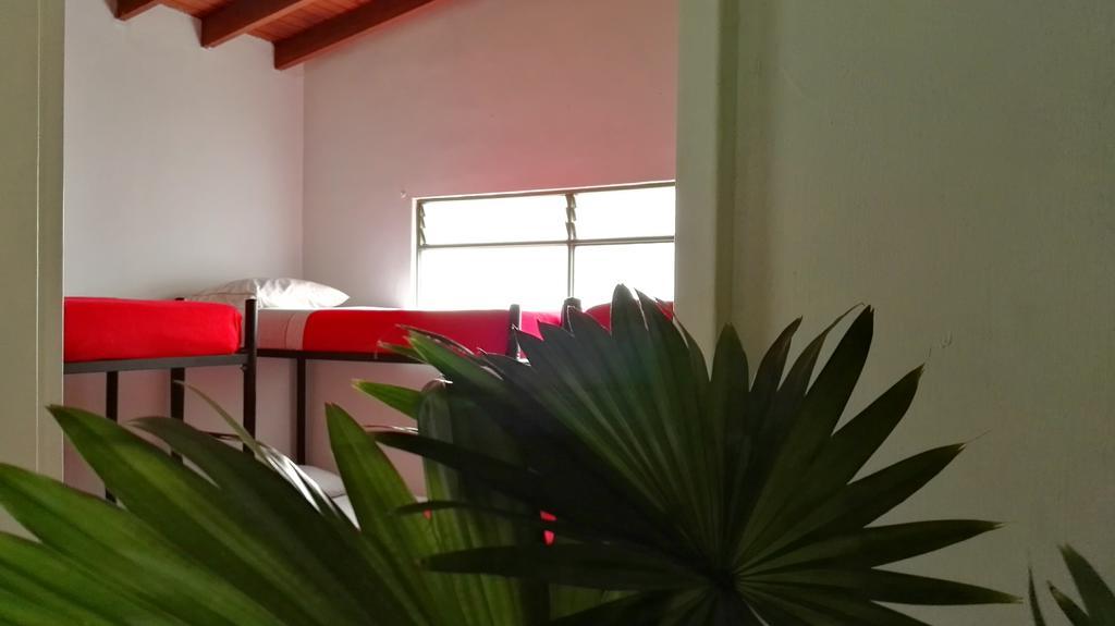 Saman Hostel Medellin Ngoại thất bức ảnh