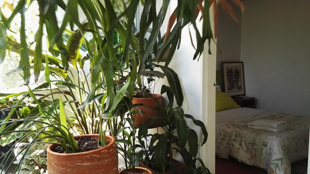 Saman Hostel Medellin Ngoại thất bức ảnh