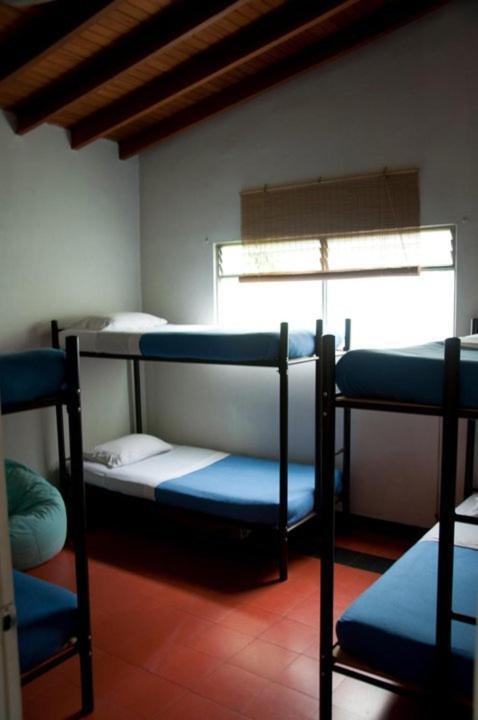 Saman Hostel Medellin Ngoại thất bức ảnh
