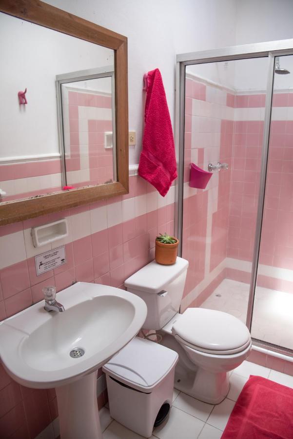 Saman Hostel Medellin Ngoại thất bức ảnh